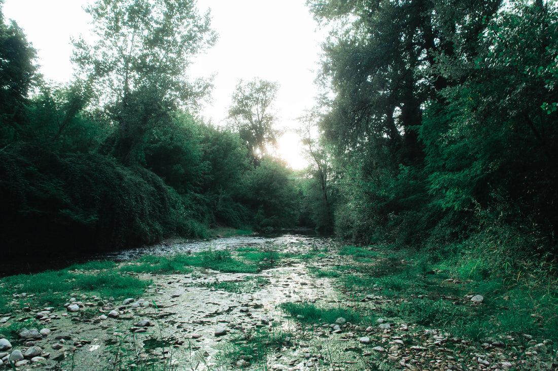 Field Test of the Raiderstove in Val Grande, Italy